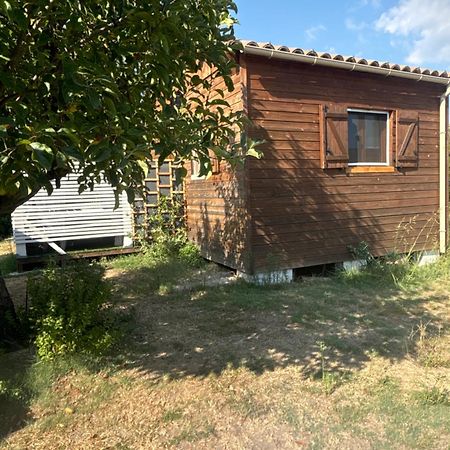 Le Chalet Pignantais Avec Option Jacuzzi Pignans Dış mekan fotoğraf