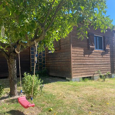 Le Chalet Pignantais Avec Option Jacuzzi Pignans Dış mekan fotoğraf